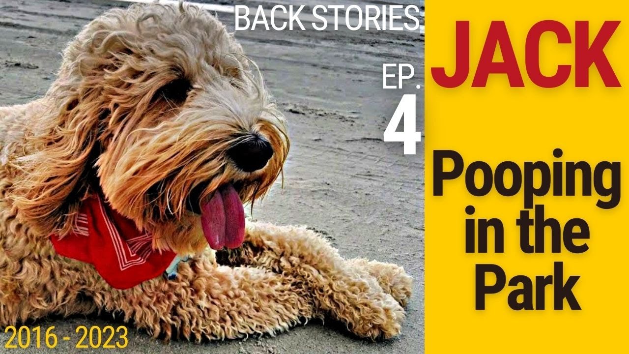 JACK The Real Estate Dog Pooping in the Park [BACKstory Ep. 4]