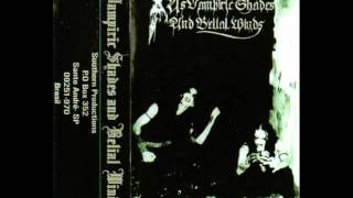 Download Lagu As Vampiric Shades And Belial Winds - Faustian Sons Of Hate (1998) (Black Metal Brazil) [Full Demo] MP3