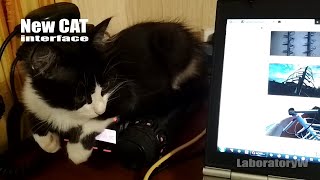 New Cat interface