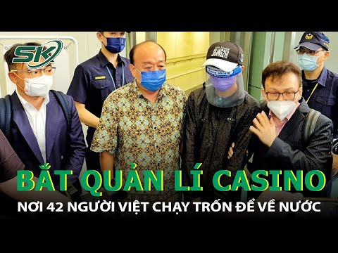 Cách Chơi Cá Cược Bóng Đá M88 - Hướng Dẫn Hơn 33WIN