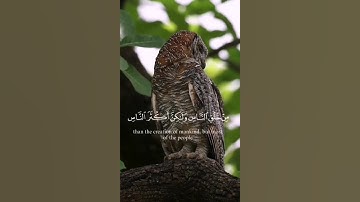 تلاوة خاشعة من الذكر الحكيم 🥀😴 #تلاوة_خاشعة #قرآن #اكسبلور #راحة_نفسية #لايك #تابعوني