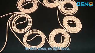 Mini Neon + 5mm LED Strip