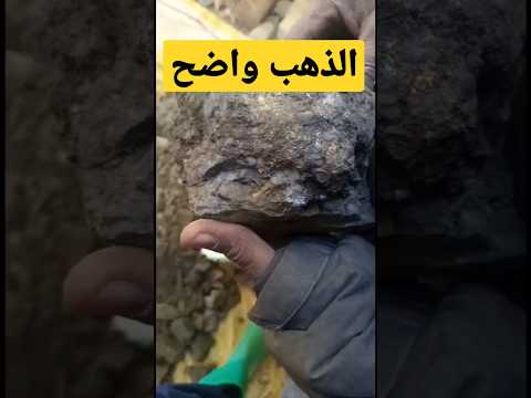 الذهب واضح في الحجر العبري