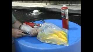 Emergency Oxygen For Fish Transport