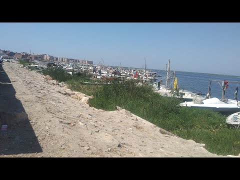 منظر طبيعي من بحيرة المطرية وآخر حدود الدقهلية مع بور سعيد ودمياط