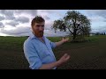 Meet Thomas Clark, 2023 Nuffield Farming Scholar