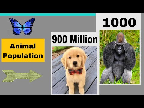 Global Population Of Living Things 2022