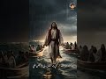 ترنيمة وسط البحر الهايج ترنيمة وسط البحر الهايج