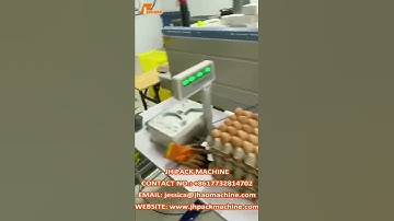 heat tunnel shrink wrap machine for eggs fully automatic shrink wrapping machine for cartons