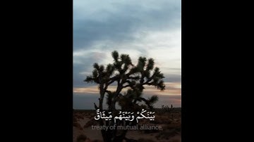‏سورة النساء للشيخ أحمد الحداد من صلاة التراويح