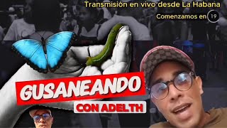 Gusaneando con Adelth | 17 de mayo de 2024