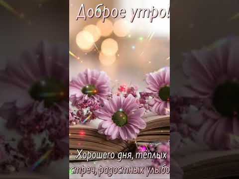 С ДОБРЫМ УТРОМ🌷ХОРОШЕГО ДНЯ #short #shorts #shortvideo #shortsvideo #открыткисдобрымутром
