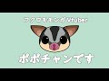 【Vtuber自己紹介】フクロモモンガのポポチャンです!