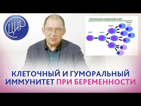 Иммунный ответ при