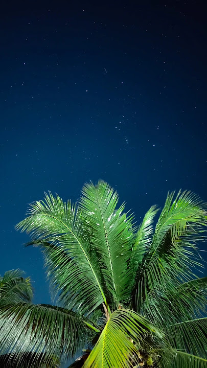 How to do Star Photography with Phone 📱| Mobile Photography with Oppo Reno 10 Pro  #youtubeshorts