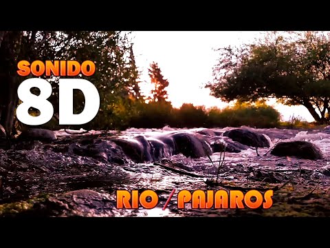 Sonido 8D RIO/BOSQUE para RELAJARSE Y DORMIR