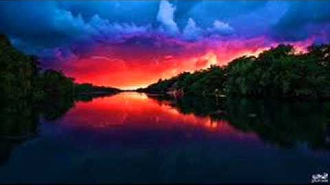 تجويد - محمد صديق المنشاوي - سورة البينة