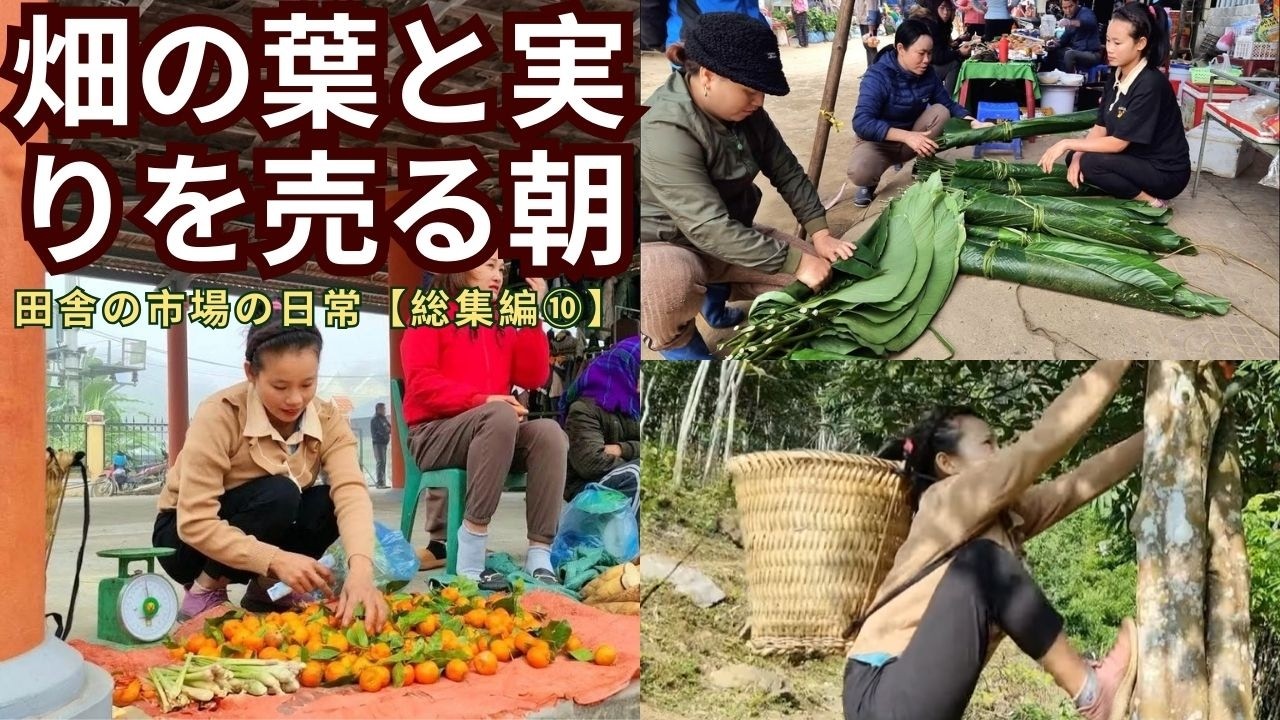 畑の葉と実りを売る朝｜田舎の市場の日常【総集編⑩】