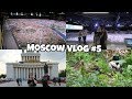 Moscow vlog || Ботанический сад и Миниатюра Москвы