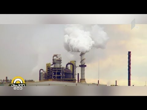 #ახალიდღე კლიმატური კატასტროფა - კვლევა, რომლის შედეგებიც სავალალო და საგანგაშოა