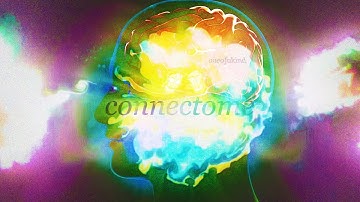Oneo Fakind - Connectome