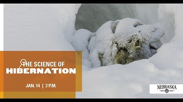 Science of...Hibernation
