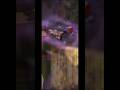 AaronтАЩs Death ЁЯТФ Aphmau Diaries MCD That Cry AaronтАЩs Last WordsтАж I CanтАЩtЁЯШн Aphmau Gachalife2 AaronтАЩs Death ЁЯТФ Aphmau Diaries MCD That Cry AaronтАЩs Last WordsтАж I CanтАЩtЁЯШн Aphmau Gachalife2