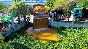 Wonderful New Landfill Project! Using Bulldozer D20P Pushing Stone with 5Ton Truck Unloading Soil