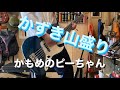 かずき山盛り/かもめのピーちゃん ベースで弾いてみた