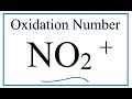 Understanding Oxidation Numbers in Ions