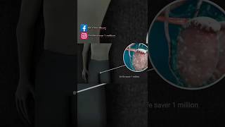 स्वप्नदोष क्यों होता है असली साइंस जानिए#nightfall #स्वप्नदोष #malehealth #boyspuberty #pubertyfacts