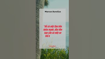 Để có một tâm hồn khỏe mạnh, đầu tiên cần có một cơ thể khỏe mạnh.  #xiembui #detox #thaidoc #shorts