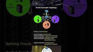 Cisco VLAN Configuration!!!