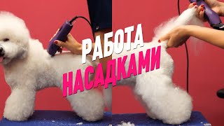 ГРУМИНГ / РАБОТА НАСАДКАМИ / БИШОН ФРИЗЕ / GROOM SCHOOL