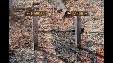 21st Century Problems