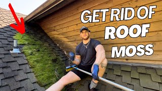 How to remove STUBBORN roof moss for good (2 month results!)