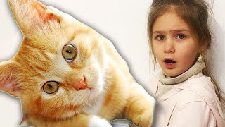 Яна спасает КОТЕНКА ! Моя Жизнь С ДОМАШНИМИ ПИТОМЦАМИ Скетч