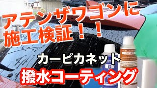 【撥水コーティング】カーピカネットさんのウロコ狩りと鎧を施工検証