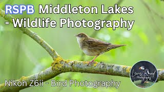 RSPB Middleton Lakes - Barn Owl, Bittern & Singing Grasshoppers