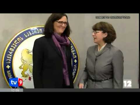 ახალი 12 | შეხვედრა სამინისტროში | 25.02.13