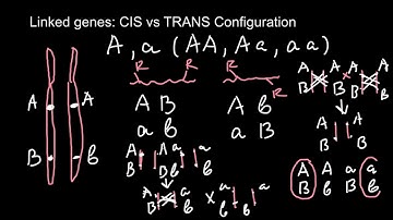 Linked genes: CIS vs TRANS Configuration