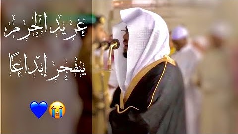 غريد الحرم د. ياسر الدوسري يبهر المصلين بتلاوة تفوق الوصف لفواتح سورة فاطر | فجر الثلاثاء٢٤-٦-١٤٤١هـ