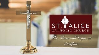 Do You Understand the True Value of the Mass and the Kingdom of Heaven?