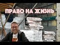 Тот самый позитивный ролик