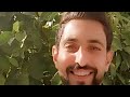 يحيى صويص اسمعي نبضي يحيى صويص اسمعي نبضي