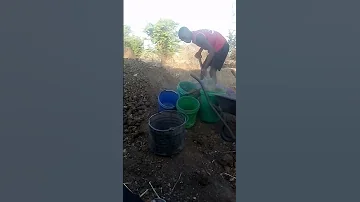 Magobo 