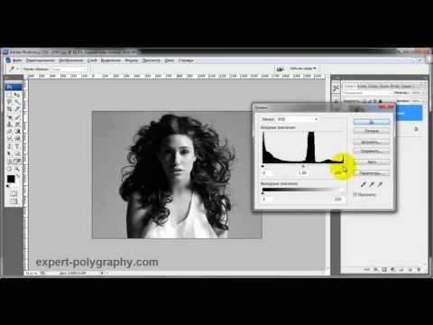 How to cut an object in Photoshop. 4 easy ways