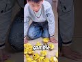 Why Ducklings Follow Commands Like Little Soldiers #funny#shorts