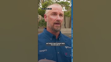 Severe storm causes widespread power outages as Las Vegas grapples with downed poles