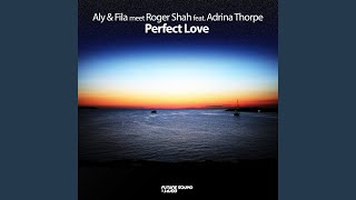 Perfect Love (Original Mix)